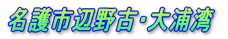 ����s�Ӗ�ÁE��Y�p 