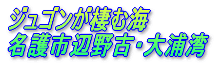 ����s�Ӗ�ÁE��Y�p 